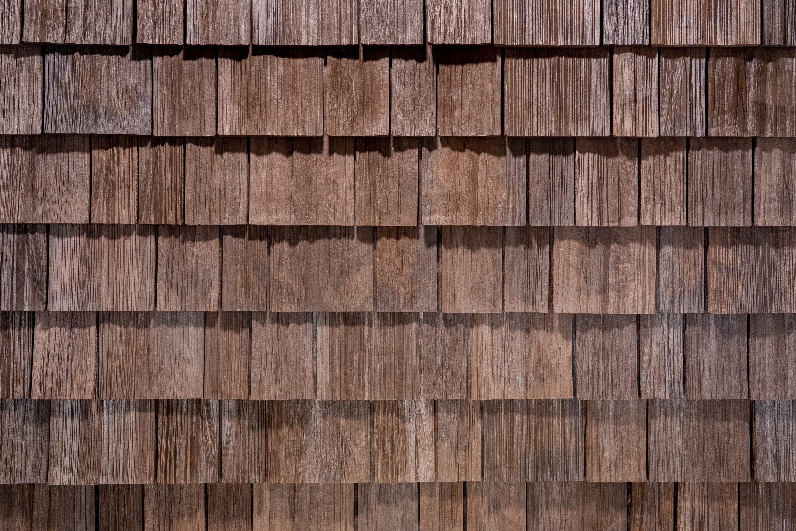 NEW CEDAR - Brava Cedar Shake